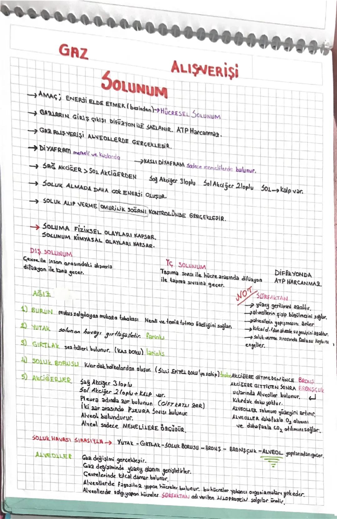 GAZ

SOLUNUM

ALIŞVERİŞİ

→ AMAS; ENERJİ ELDE ETMEK (besinden)→HÜCRESEL SOLUNUM

GARLARIN GİRİŞ ÇIKIŞI DİFÜZYON İLE SAĞLANIR. ATP Harcanmas.