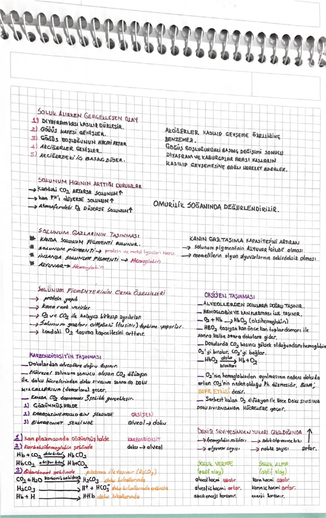 GAZ

SOLUNUM

ALIŞVERİŞİ

→ AMAS; ENERJİ ELDE ETMEK (besinden)→HÜCRESEL SOLUNUM

GARLARIN GİRİŞ ÇIKIŞI DİFÜZYON İLE SAĞLANIR. ATP Harcanmas.