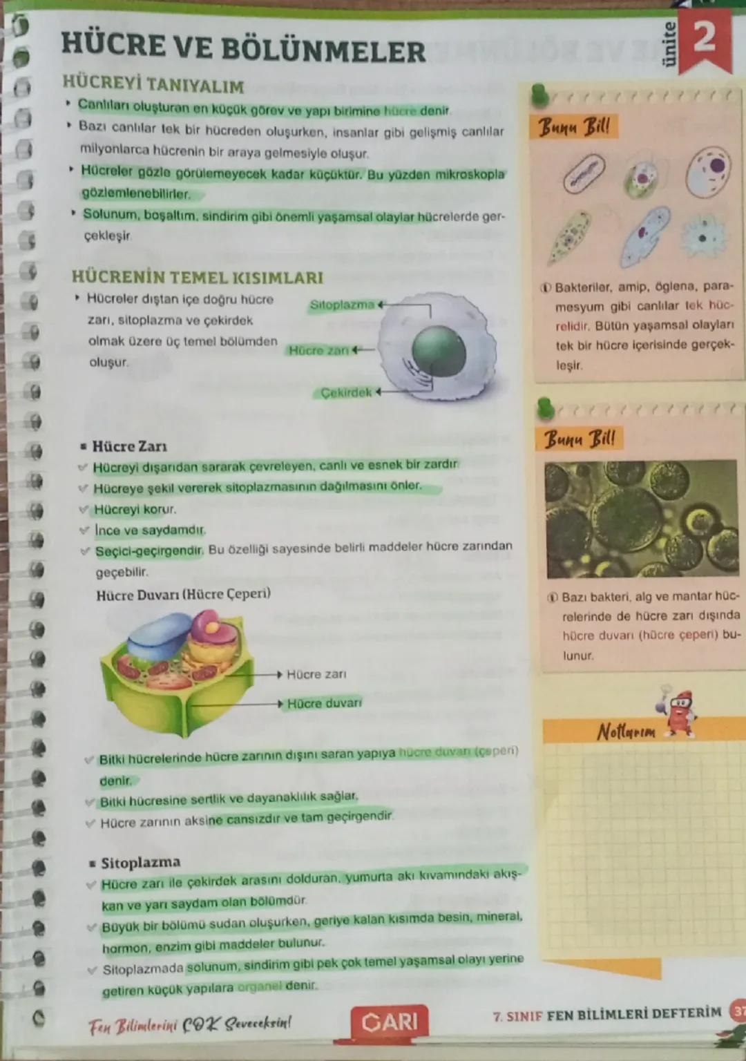 HÜCRE VE BÖLÜNMELER2
HÜCREYİ TANIYALIM
⚫ Canlıları oluşturan en küçük görev ve yapı birimine hücre denir.
▸ Bazı canlılar tek bir hücreden o