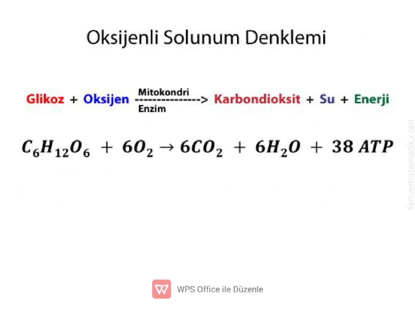 .
•
•
•
•
•
5) ADENOZİNTRİFOSFAT(ATP)
✔ Enerji taşıma işini yapan, nükleotid yapılı bir
moleküldür.
Besinlerin solunumla parçalanması sonucu