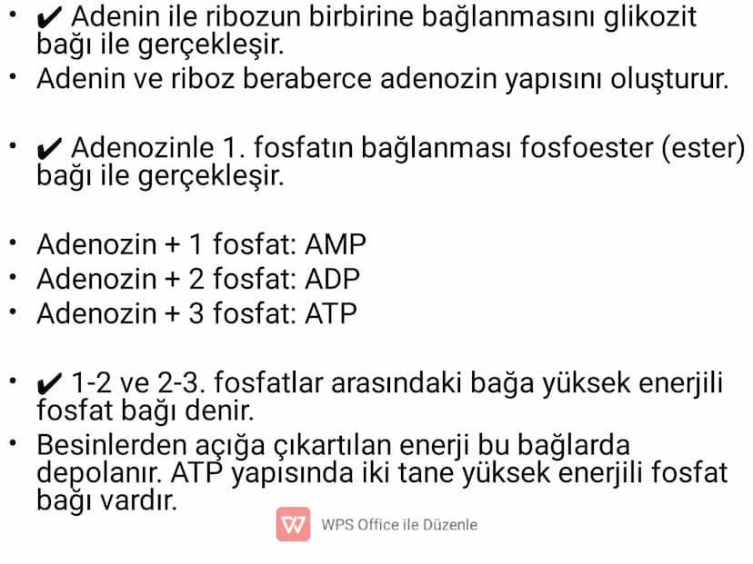 .
•
•
•
•
•
5) ADENOZİNTRİFOSFAT(ATP)
✔ Enerji taşıma işini yapan, nükleotid yapılı bir
moleküldür.
Besinlerin solunumla parçalanması sonucu