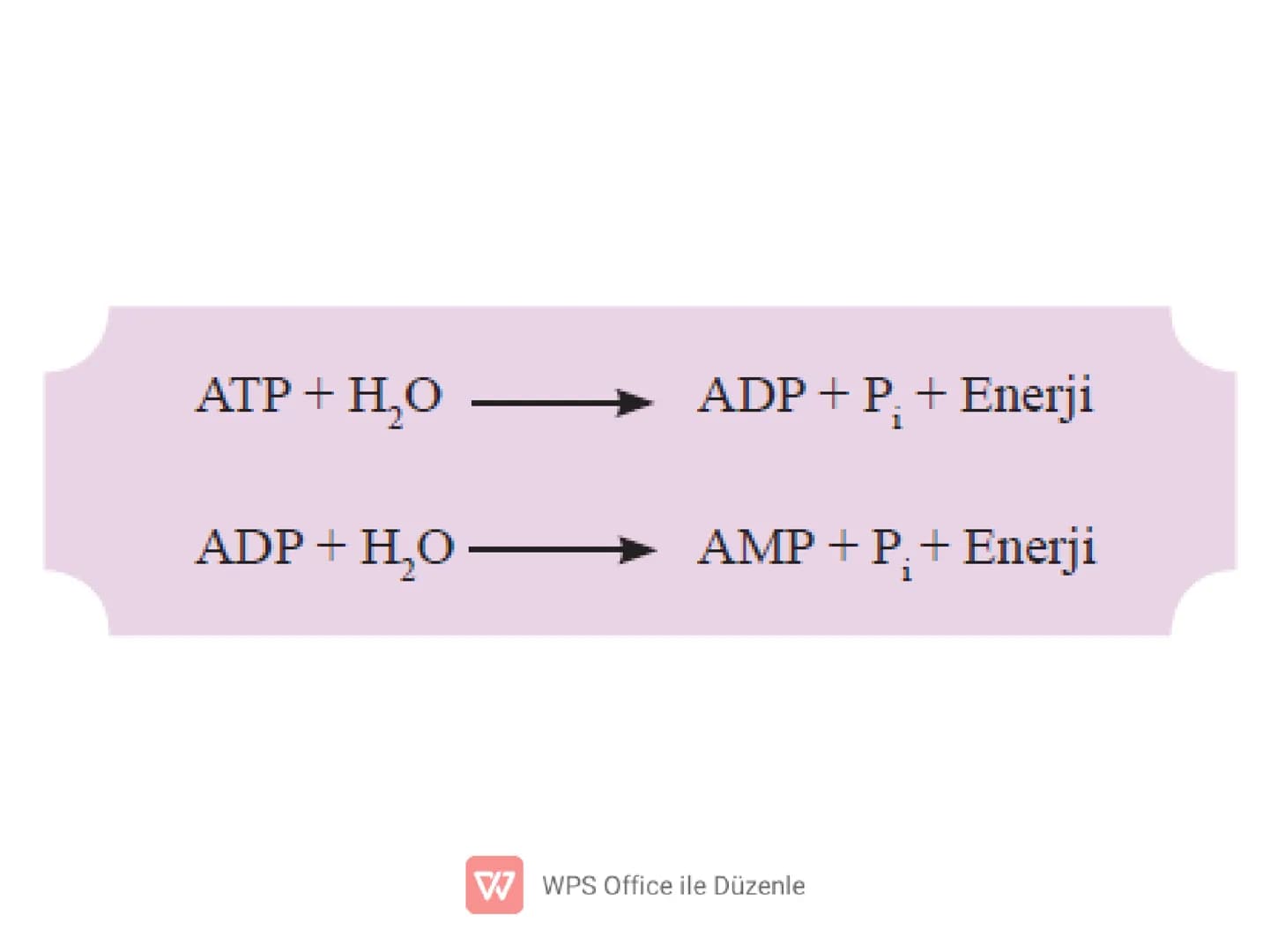 .
•
•
•
•
•
5) ADENOZİNTRİFOSFAT(ATP)
✔ Enerji taşıma işini yapan, nükleotid yapılı bir
moleküldür.
Besinlerin solunumla parçalanması sonucu