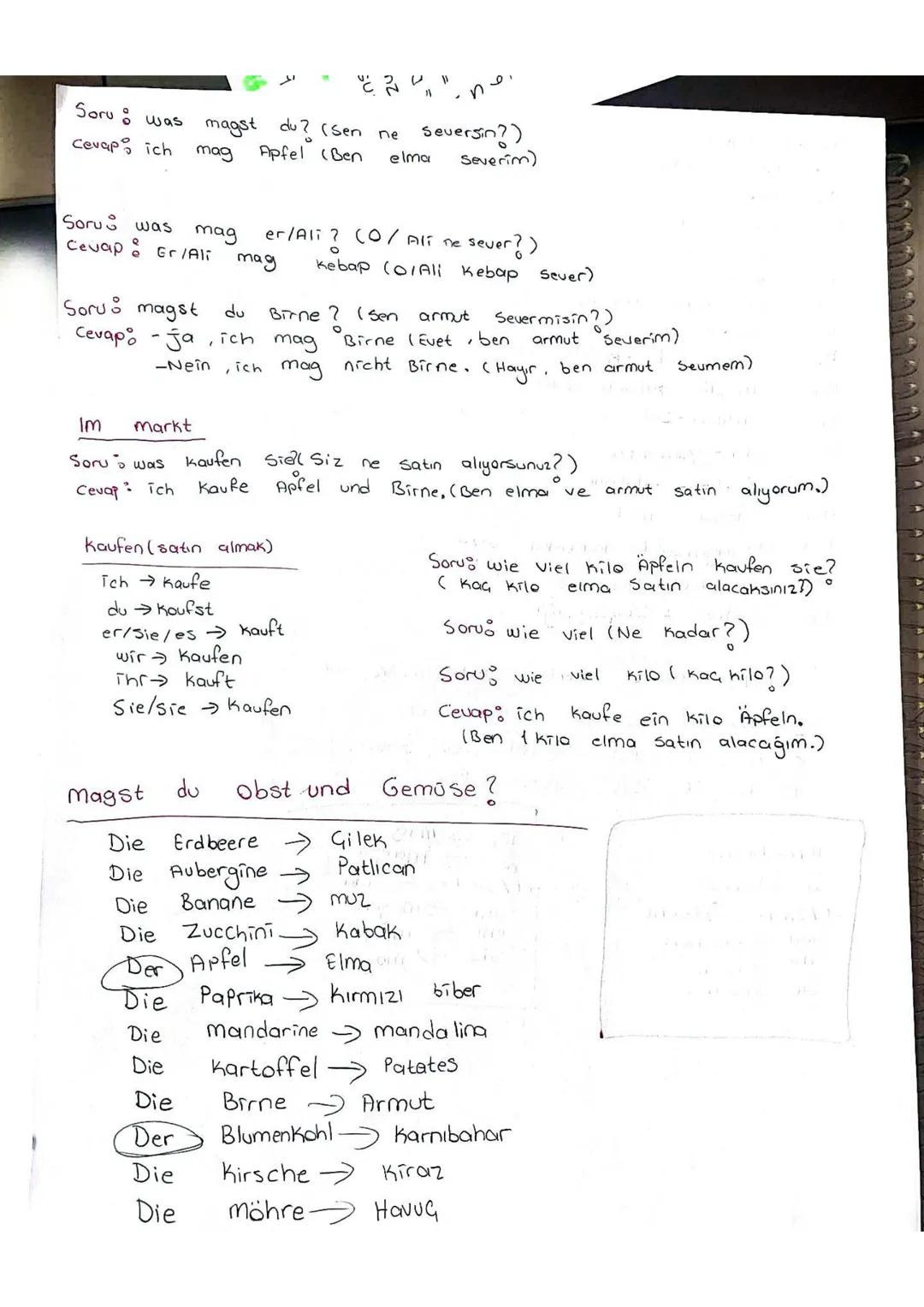 G
امر
Soru: was magst du? (Sen ne Seversin?)
Cevap ich mag Apfel (Ben elma Severim)
Sorus was mag er/Ali? (0/Ali ne sever?)
Cevap: Gr/Al mag