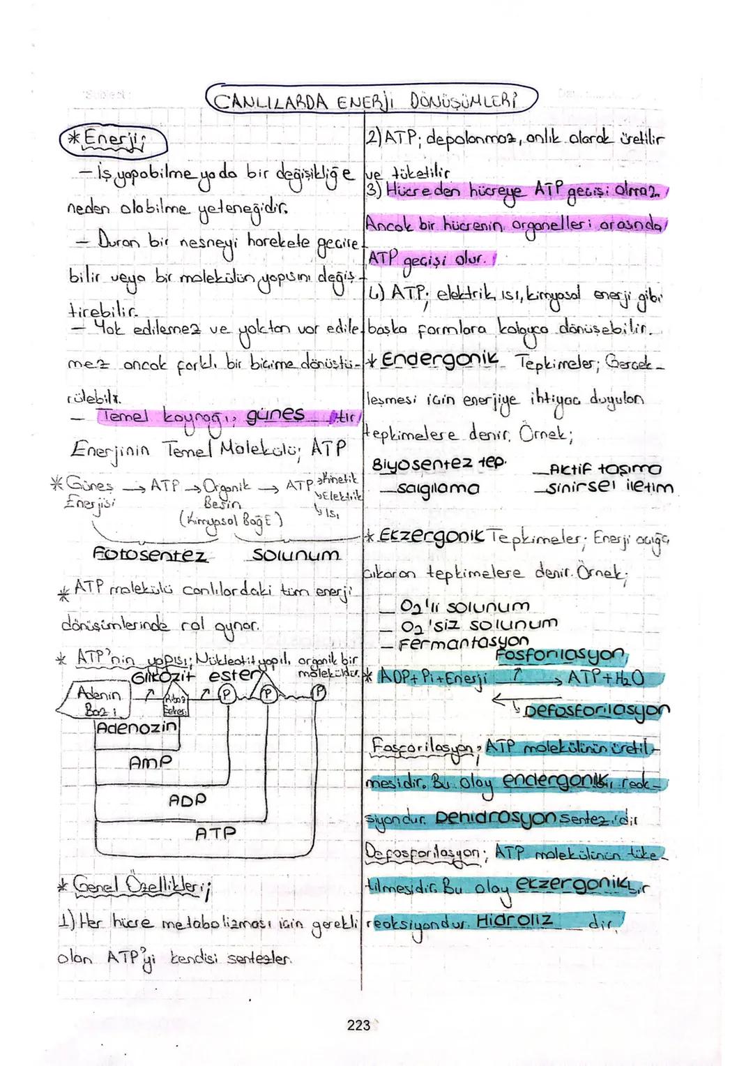 Canlılarda Enerji Dönüşümleri