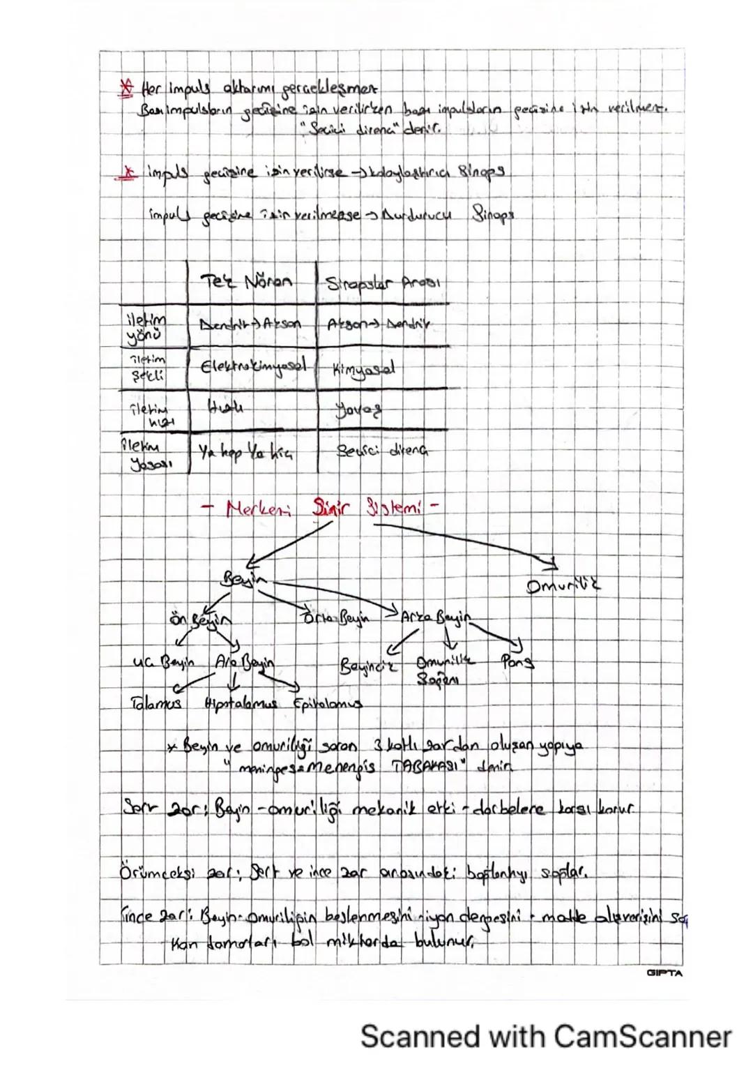 A
D
A
A
Aksiyon Potansiyeli: Nörona impuls gelmesiyle nöronda meytone pelen
elektrozimy
Polarisisyoni
desigizliklerdir.
* Noren dinlenme hal