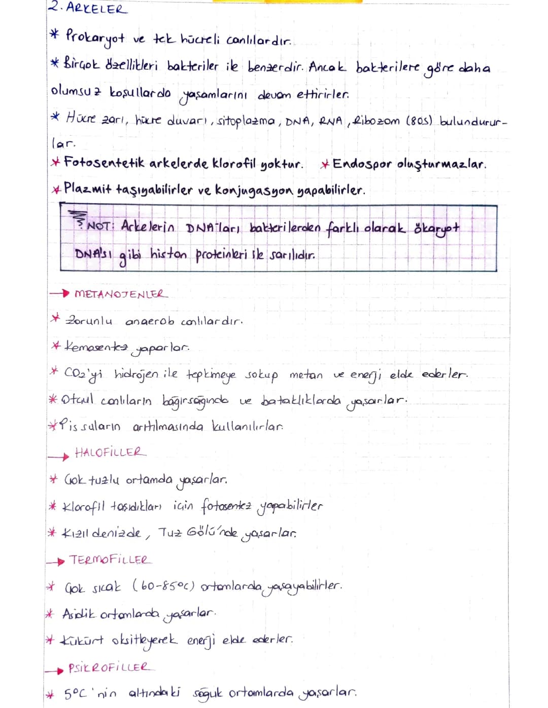 Arkeler Hakkında Bilgiler: Metan Gazı Üretimi ve Hücre Yapısı