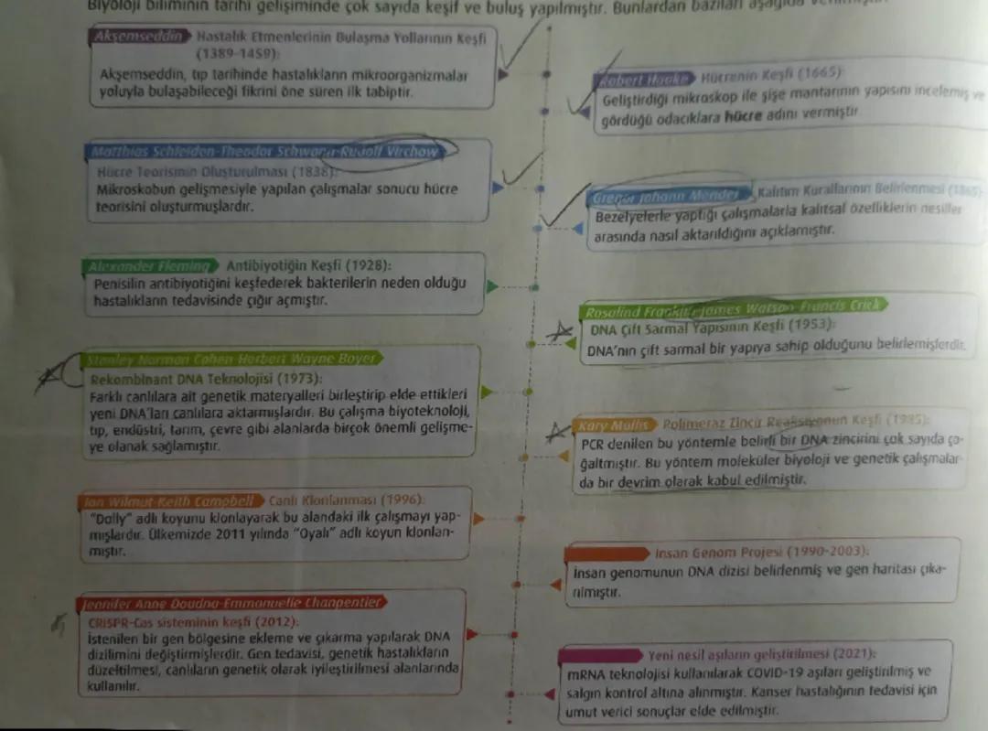 9.sınıf biyoloji tarihi gelişim