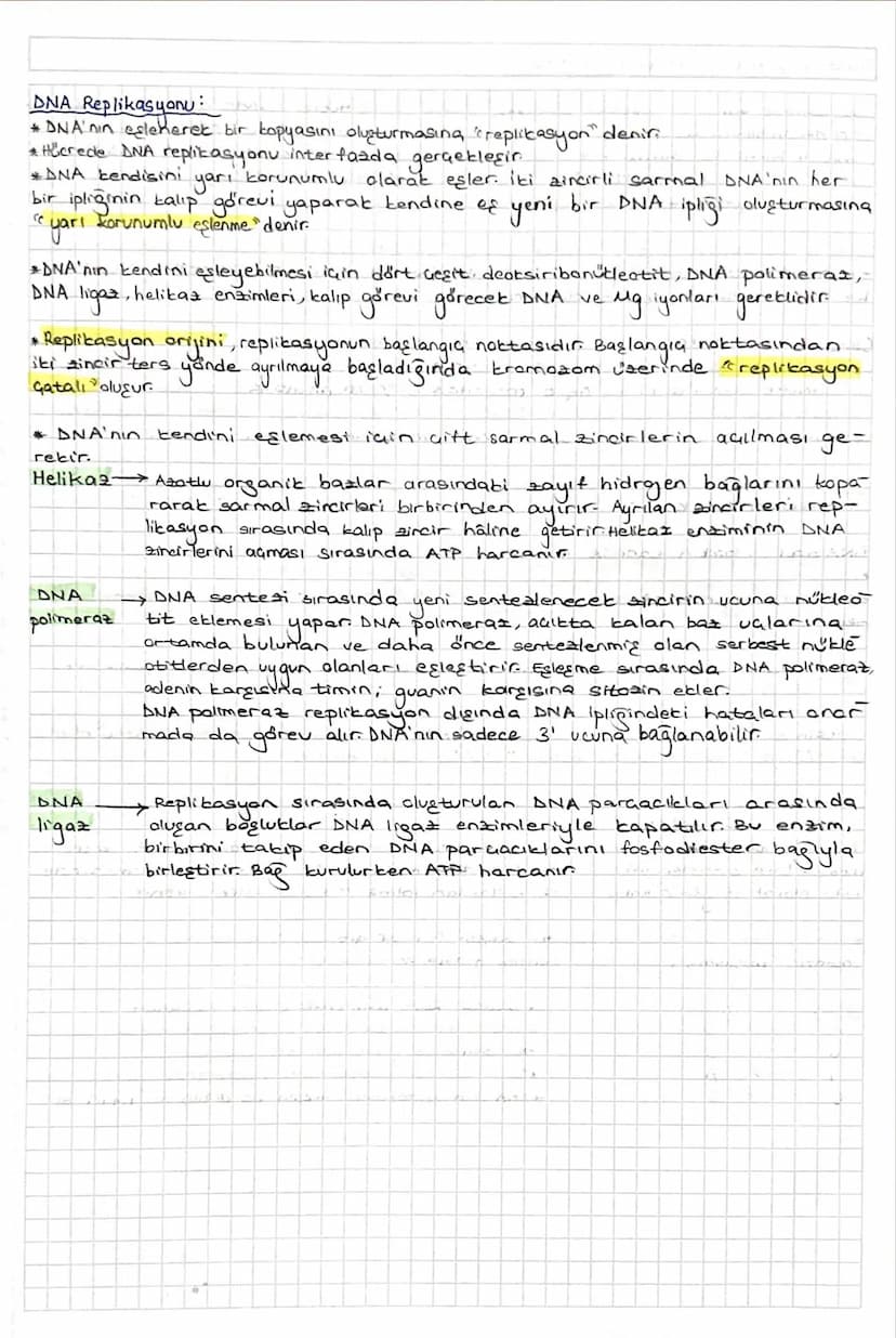 -GENDEN PROTEINE-
Gekirdek içerisinde asit dzelliği gösteren moleküllere "nüblein" denir. Daha
nukleine "nukleik asit" denilmiştir
Ökaryotla