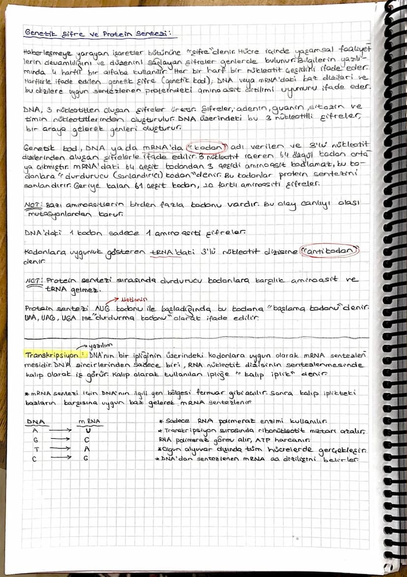 -GENDEN PROTEINE-
Gekirdek içerisinde asit dzelliği gösteren moleküllere "nüblein" denir. Daha
nukleine "nukleik asit" denilmiştir
Ökaryotla