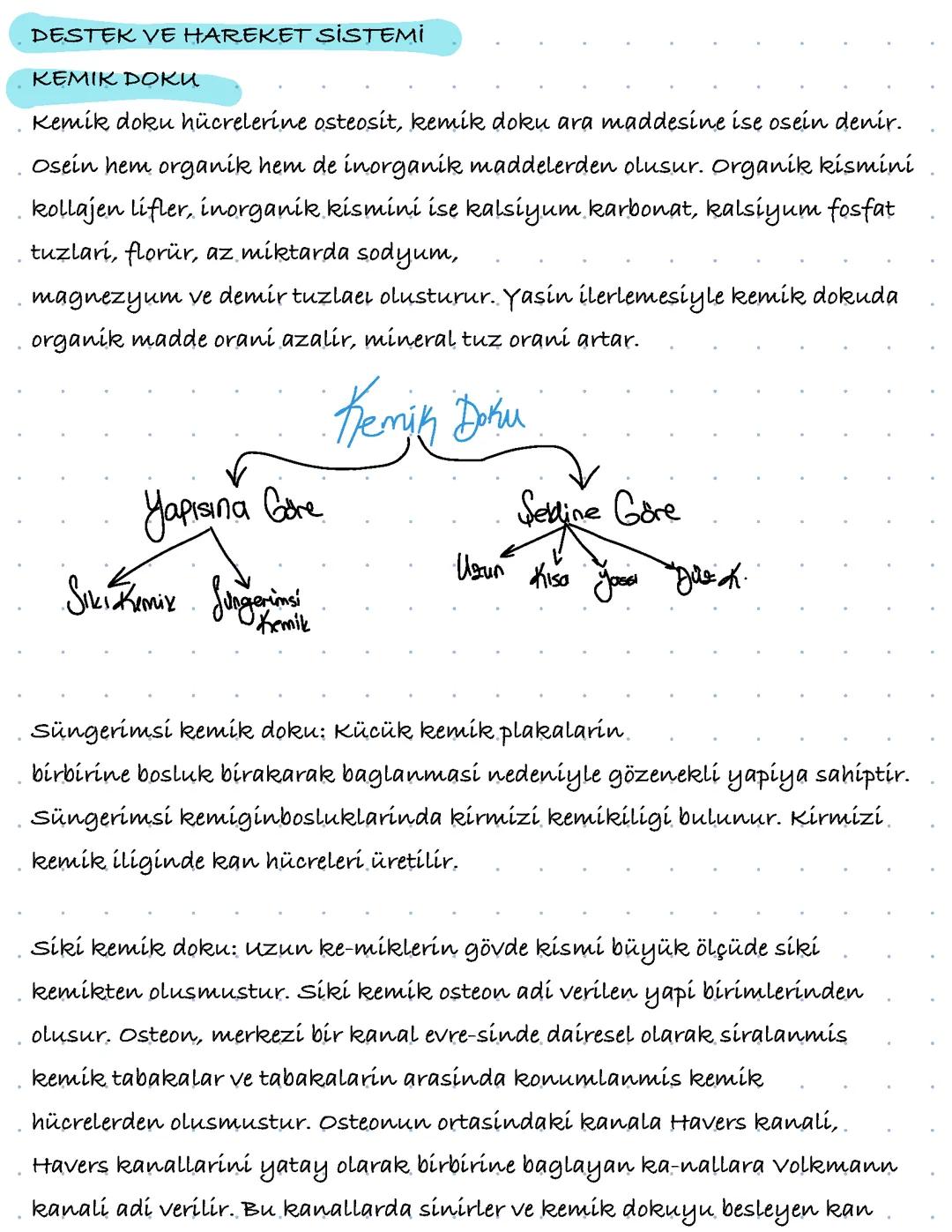 Sistemler, destek ve hareket sistemi 