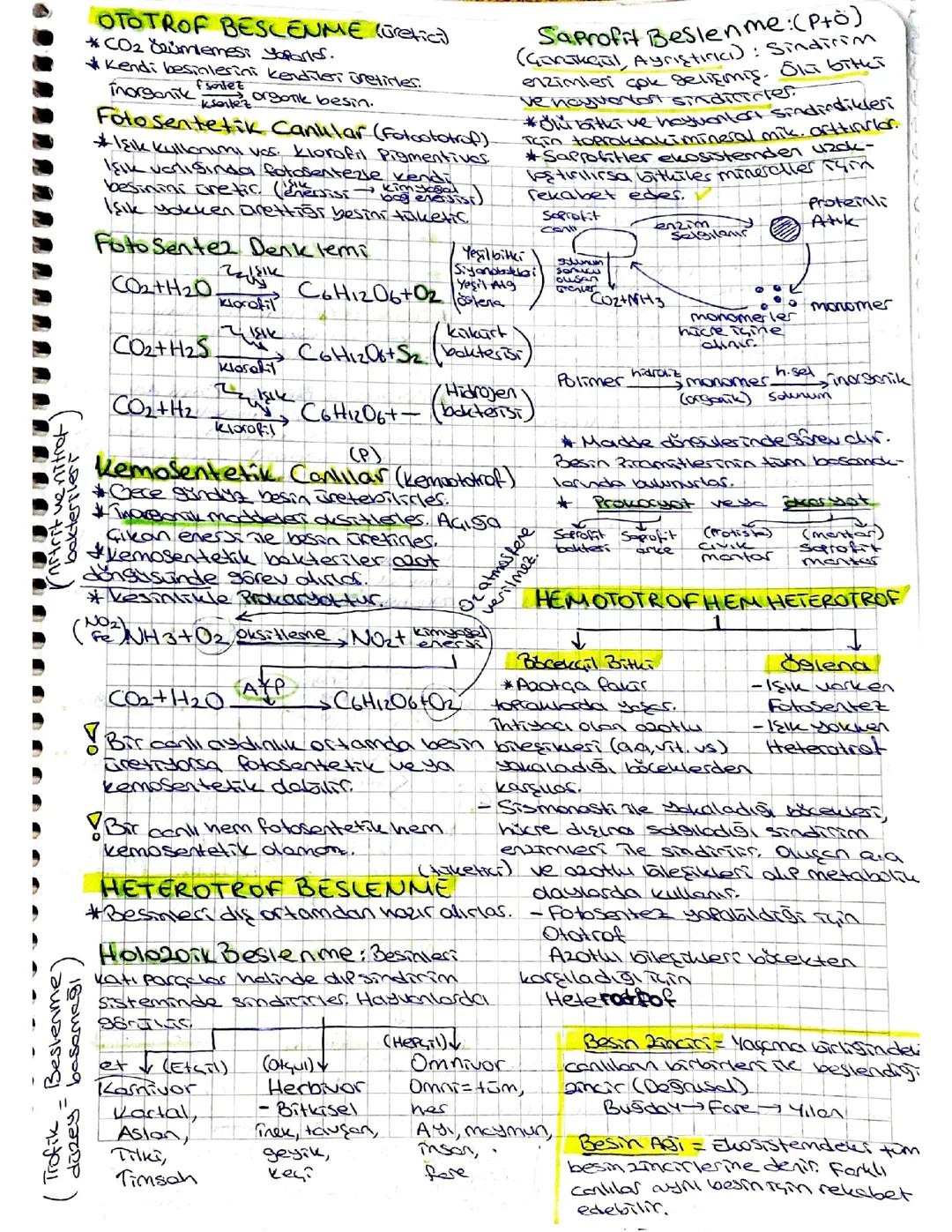 Beslenme Çeşitleri