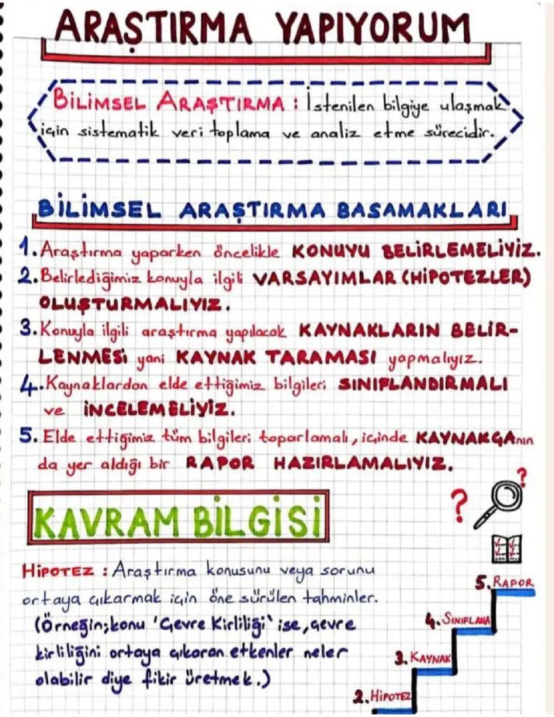 Bilimsel Araştırma Basamakları ve Hipotez Örnekleri - 6. Sınıf, PDF