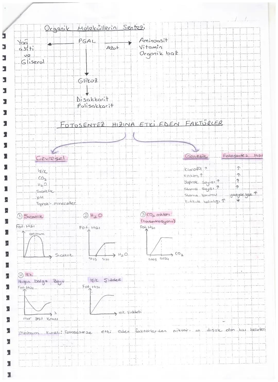 Isik
-2é
AYDINLIK EVRE
www
Klorofil
2ē
ETS
ATP
20
→
2e + H+H + + '/202
Fotofosforilasyon
←
Atmosfere verilir.
NADP+
2 NADPH
Klorofilden ayrı