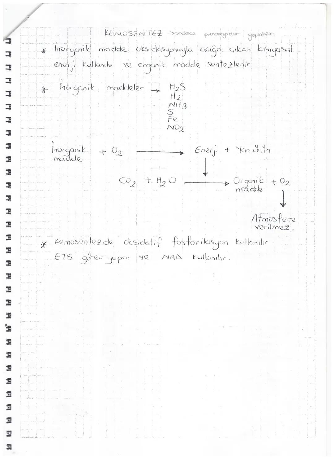 Isik
-2é
AYDINLIK EVRE
www
Klorofil
2ē
ETS
ATP
20
→
2e + H+H + + '/202
Fotofosforilasyon
←
Atmosfere verilir.
NADP+
2 NADPH
Klorofilden ayrı
