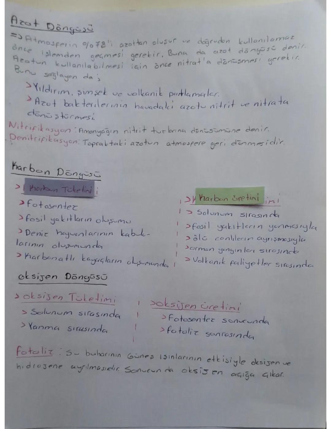 Azot karbon ve oksijen döngüsü