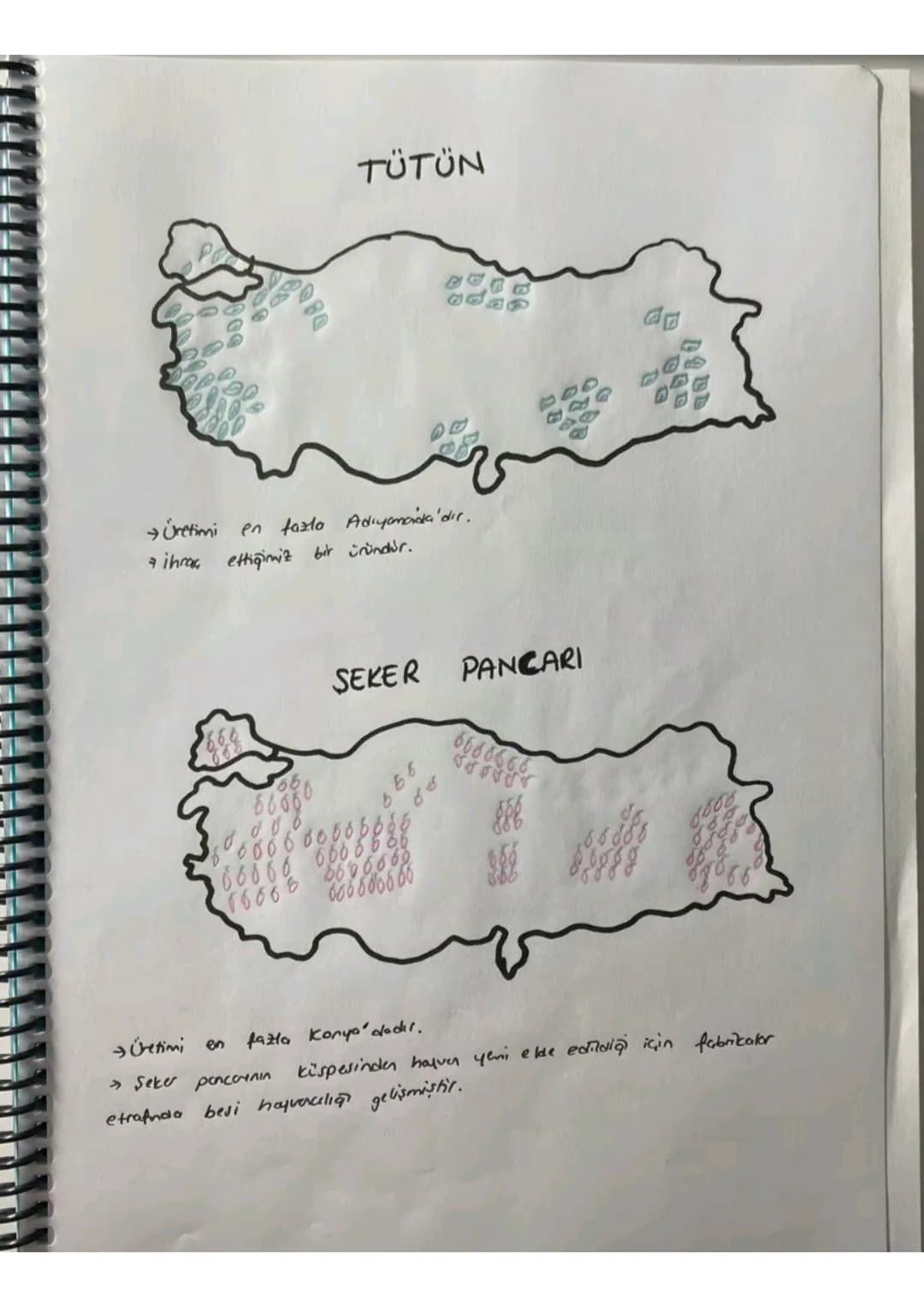 080
TÜTÜN
Üretimi en fazla Adıyamada'dır.
ihraç ettiğimiz bir üründür.
SEKER PANCARI
6666666
b
66
66666 666 666 6
16668
6606060
боб 6006 00
