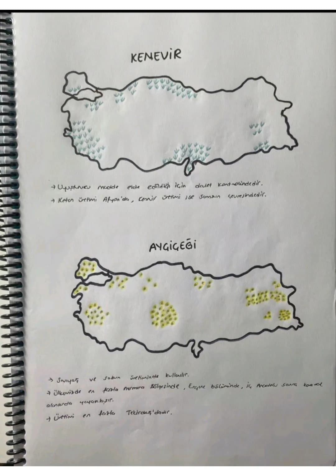 080
TÜTÜN
Üretimi en fazla Adıyamada'dır.
ihraç ettiğimiz bir üründür.
SEKER PANCARI
6666666
b
66
66666 666 666 6
16668
6606060
боб 6006 00
