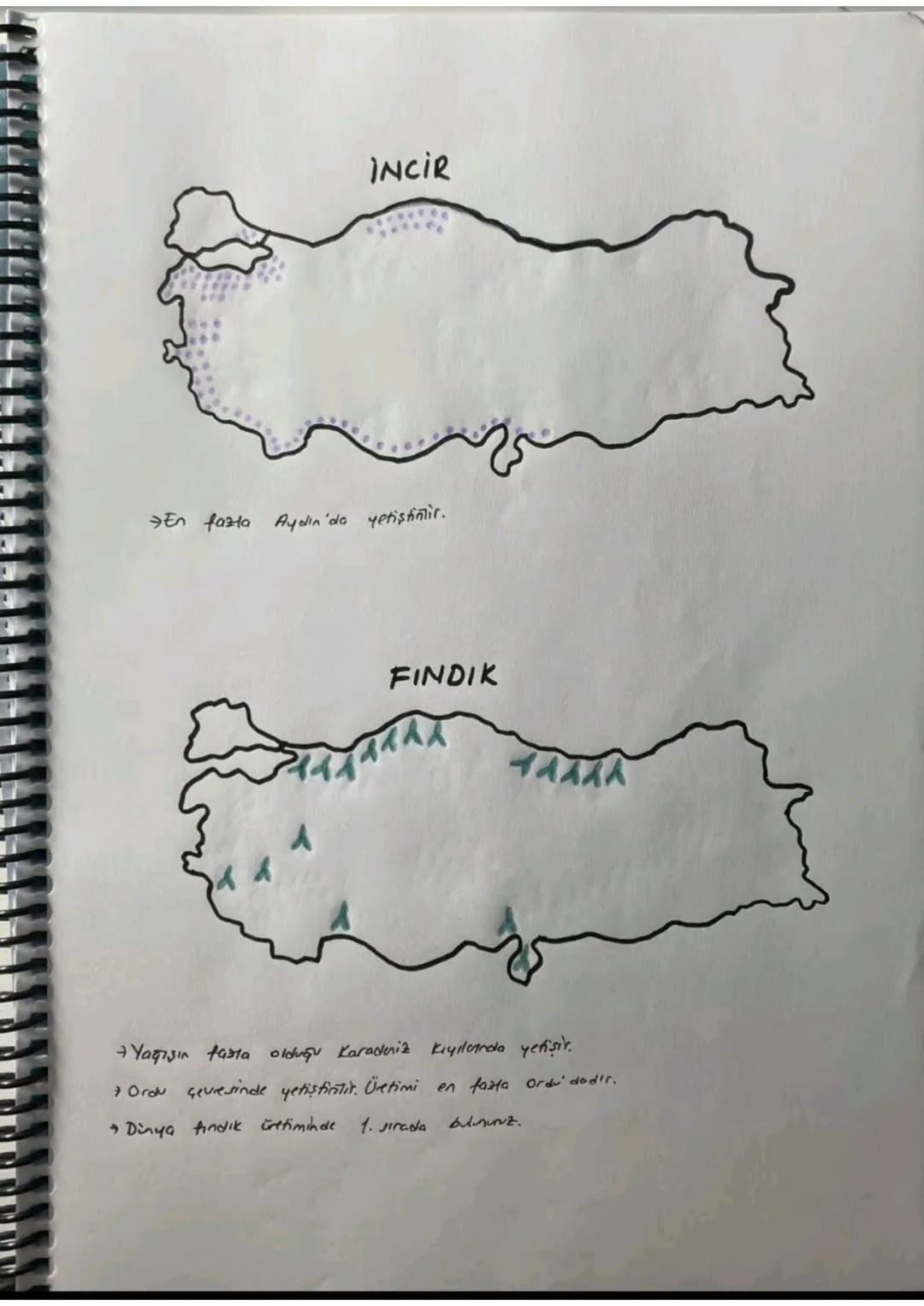 080
TÜTÜN
Üretimi en fazla Adıyamada'dır.
ihraç ettiğimiz bir üründür.
SEKER PANCARI
6666666
b
66
66666 666 666 6
16668
6606060
боб 6006 00
