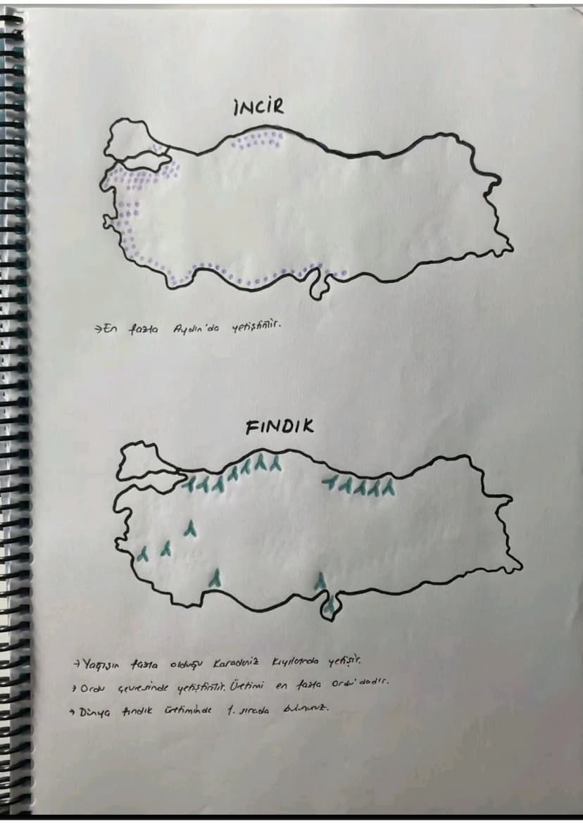 080
TÜTÜN
Üretimi en fazla Adıyamada'dır.
ihraç ettiğimiz bir üründür.
SEKER PANCARI
6666666
b
66
66666 666 666 6
16668
6606060
боб 6006 00
