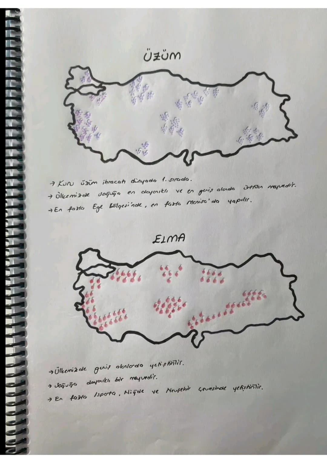 080
TÜTÜN
Üretimi en fazla Adıyamada'dır.
ihraç ettiğimiz bir üründür.
SEKER PANCARI
6666666
b
66
66666 666 666 6
16668
6606060
боб 6006 00
