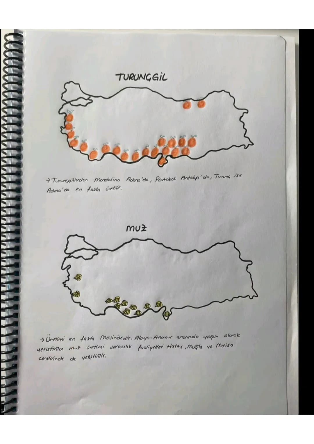 080
TÜTÜN
Üretimi en fazla Adıyamada'dır.
ihraç ettiğimiz bir üründür.
SEKER PANCARI
6666666
b
66
66666 666 666 6
16668
6606060
боб 6006 00
