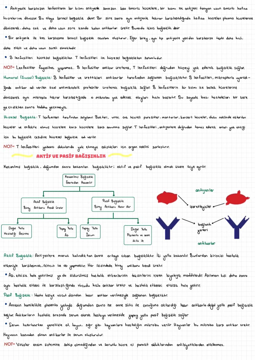  DOLAŞIM SİSTEMİ
• Cok hücreli canlıların tüm hücreleri dış ortamla bağlantılı değildir. Bu nedenle çok hücreli canlılar; besin. oksigen gib