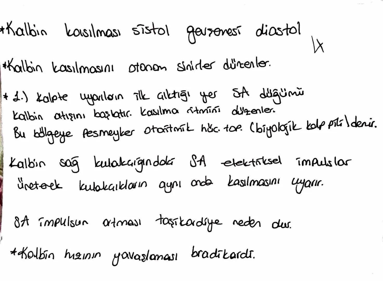 *Kalbin koışılması sistol
gevşemesi diastol
4X
düğümü
*Kalbin kasılmasını stonen sinirler düncenter.
SA
+1.) kalpte uyarıların ilk çıktığı y