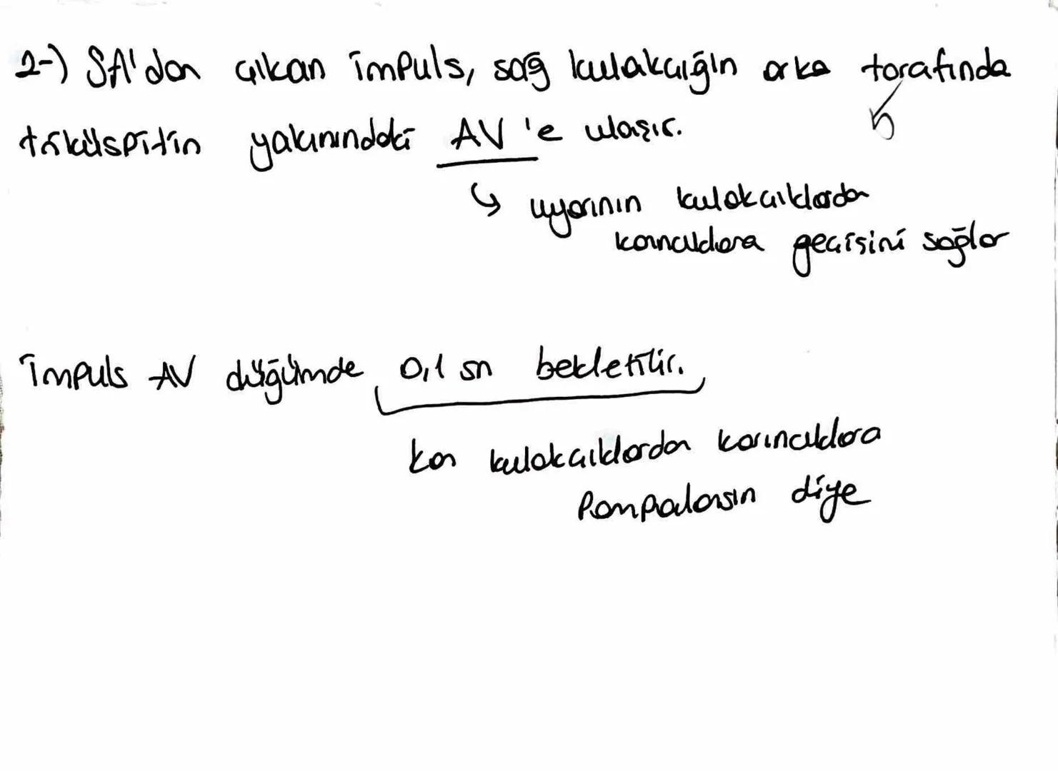 *Kalbin koışılması sistol
gevşemesi diastol
4X
düğümü
*Kalbin kasılmasını stonen sinirler düncenter.
SA
+1.) kalpte uyarıların ilk çıktığı y