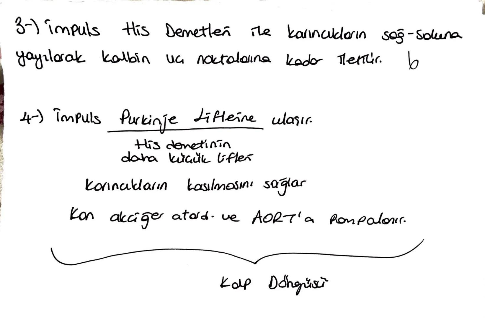 *Kalbin koışılması sistol
gevşemesi diastol
4X
düğümü
*Kalbin kasılmasını stonen sinirler düncenter.
SA
+1.) kalpte uyarıların ilk çıktığı y