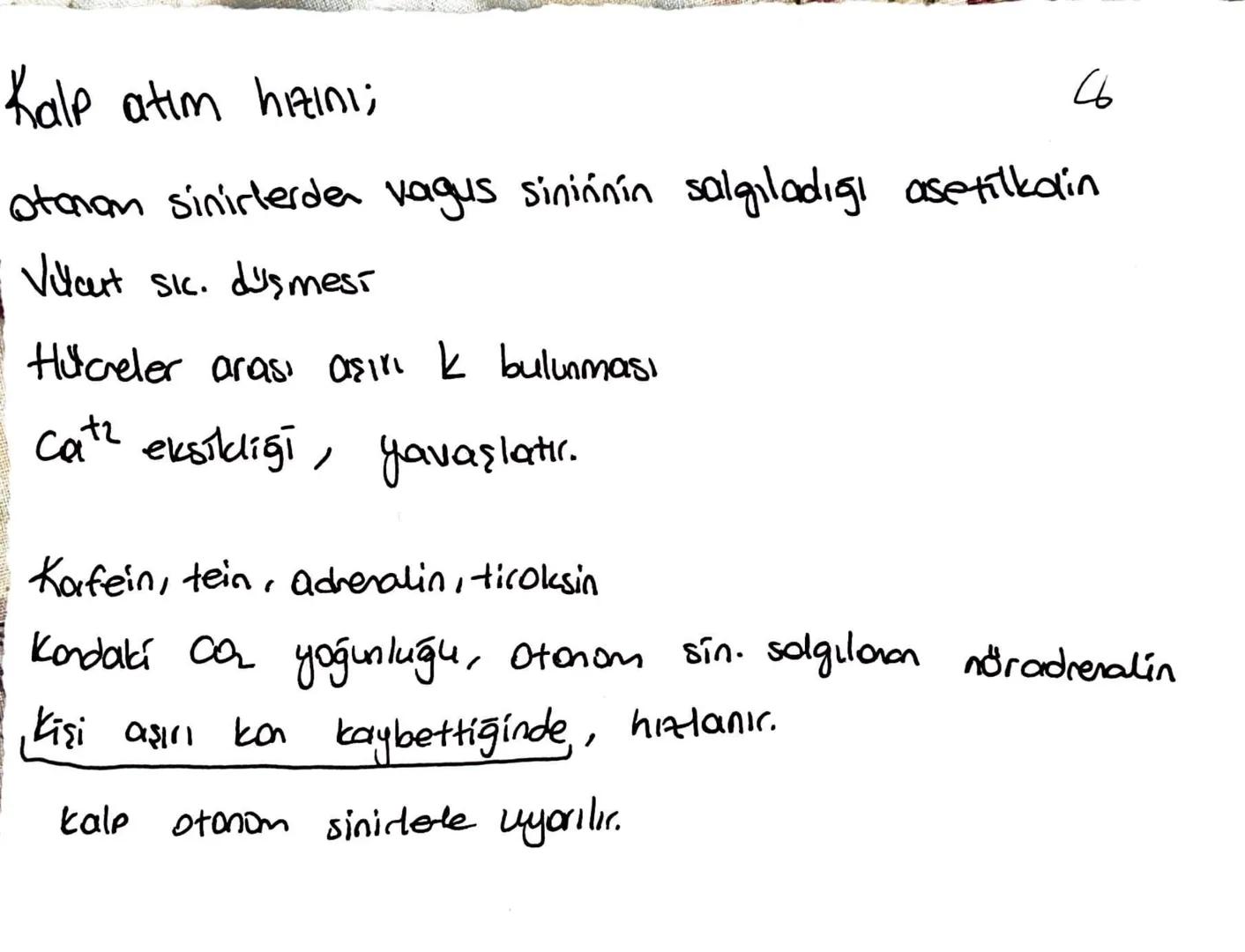 *Kalbin koışılması sistol
gevşemesi diastol
4X
düğümü
*Kalbin kasılmasını stonen sinirler düncenter.
SA
+1.) kalpte uyarıların ilk çıktığı y