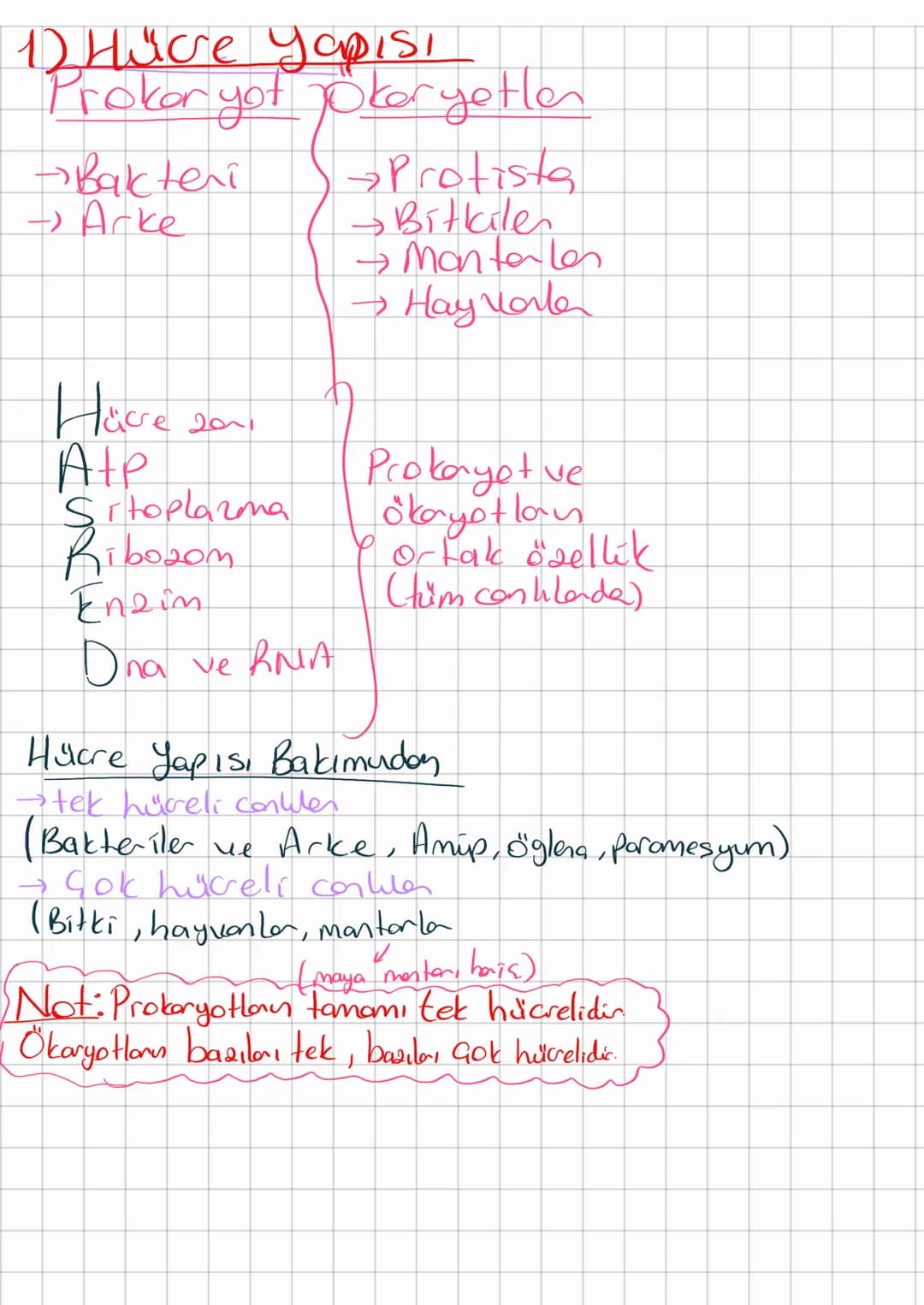 1) Hücre yapısı
Prokaryot jokeryetlen
-Bakteri
→Arke
Protists
→ Bitkilen
→ Monterles
→ Hayvarta
Hücre
Atp
2011
Sitoplazma
Ribosom
Engin
Dha
