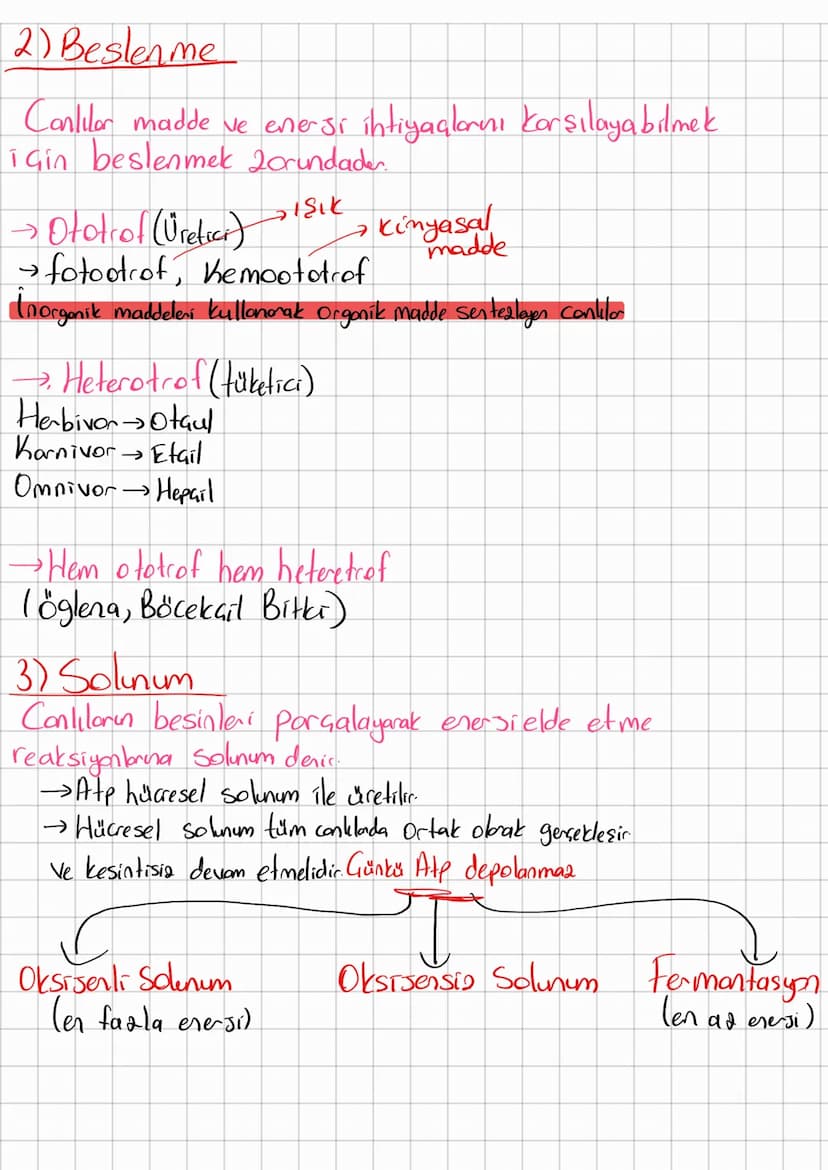1) Hücre yapısı
Prokaryot jokeryetlen
-Bakteri
→Arke
Protists
→ Bitkilen
→ Monterles
→ Hayvarta
Hücre
Atp
2011
Sitoplazma
Ribosom
Engin
Dha
