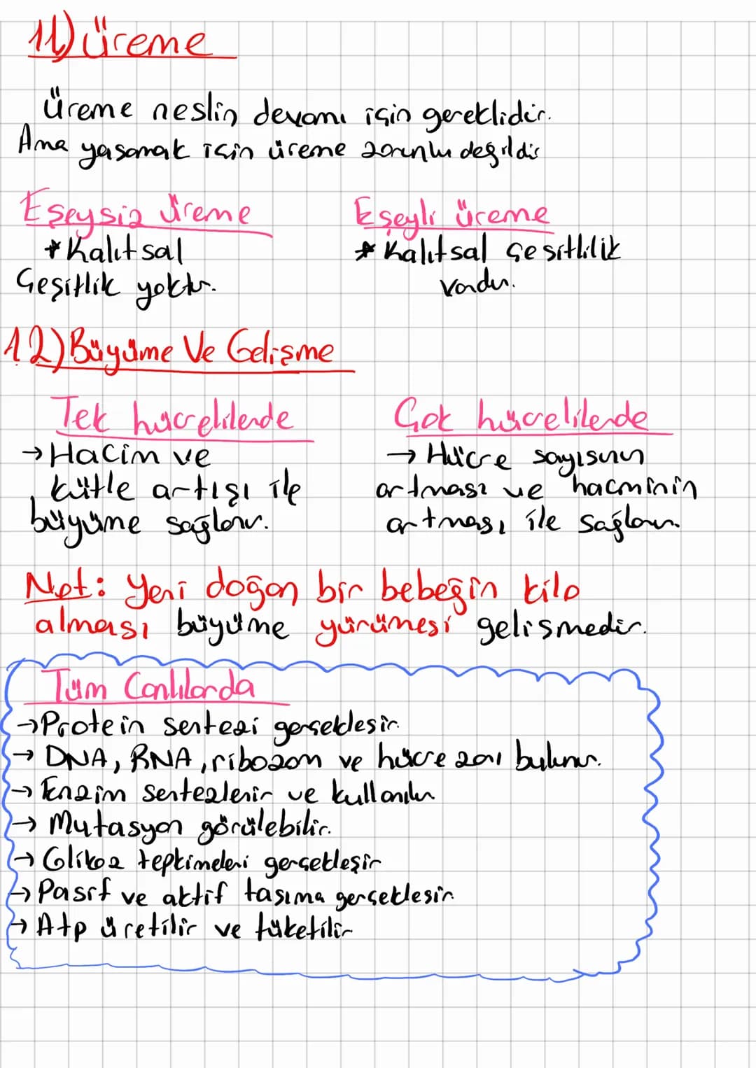 1) Hücre yapısı
Prokaryot jokeryetlen
-Bakteri
→Arke
Protists
→ Bitkilen
→ Monterles
→ Hayvarta
Hücre
Atp
2011
Sitoplazma
Ribosom
Engin
Dha
