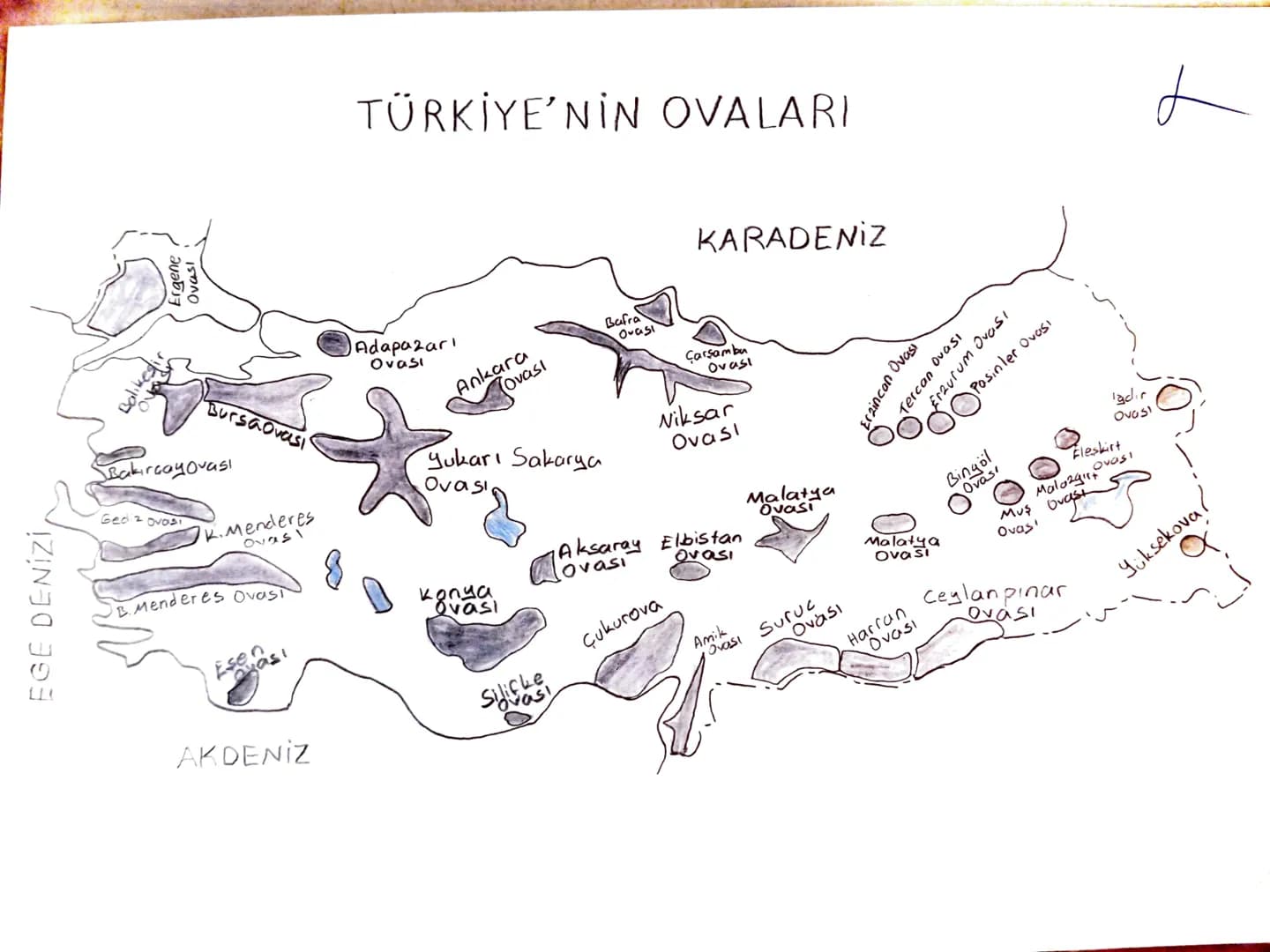 Koru
Yıldız
TÜRKİYE'NİN KIVRIMLI DAĞLARI
Küre
Samanl
11902
Köroğlu
Canik
Giresun
Rize
Sündiken
Sultan
Gölgeli
Akdağ
Bey
Geyik
Bolkar
Aladağ
