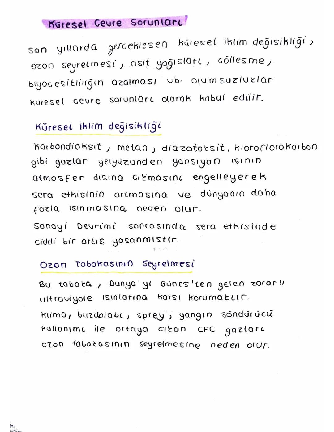 Küresel Çevre Sorunları 