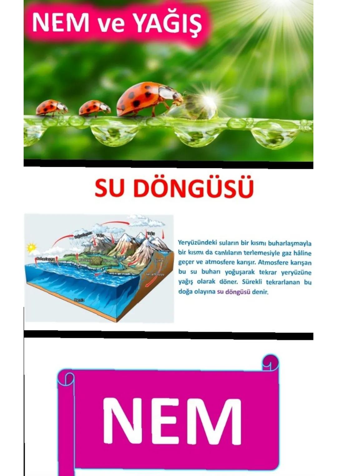 NEM ve YAĞIŞ

SU DÖNGÜSÜ

Yeryüzündeki suların bir kısmı buharlaşmayla
bir kısmı da canlıların terlemesiyle gaz hâline
geçer ve atmosfere ka