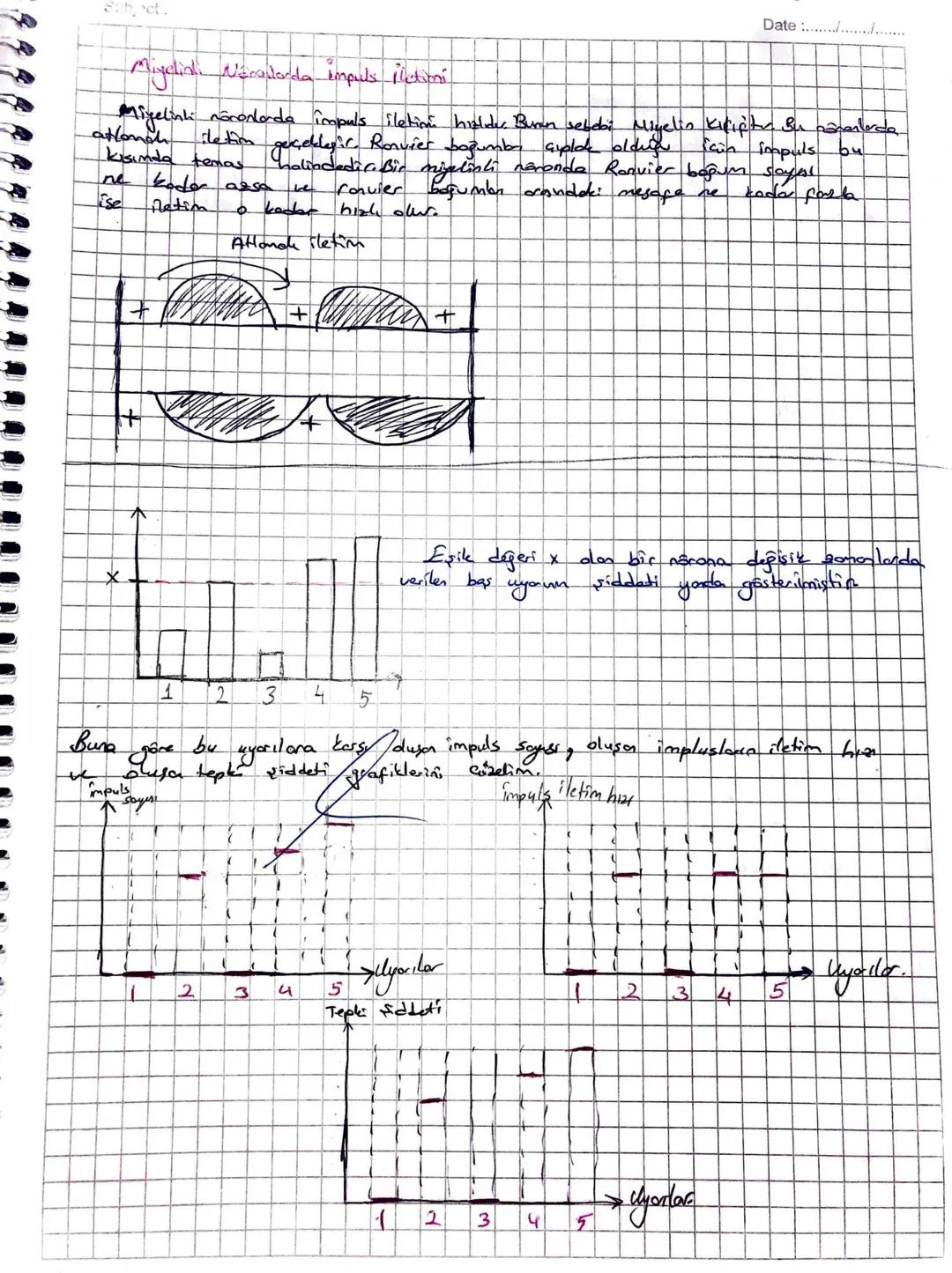 Date .............
Migeliai Nacalarda impuls ilationi.
Migelink nöronlarda impuls iletinal holder. Bunun sebebi Miyelin Kilipity. Bu cavanla