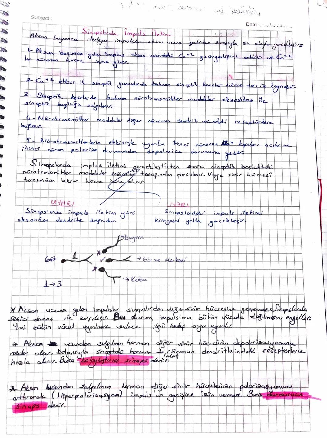 Date .............
Migeliai Nacalarda impuls ilationi.
Migelink nöronlarda impuls iletinal holder. Bunun sebebi Miyelin Kilipity. Bu cavanla