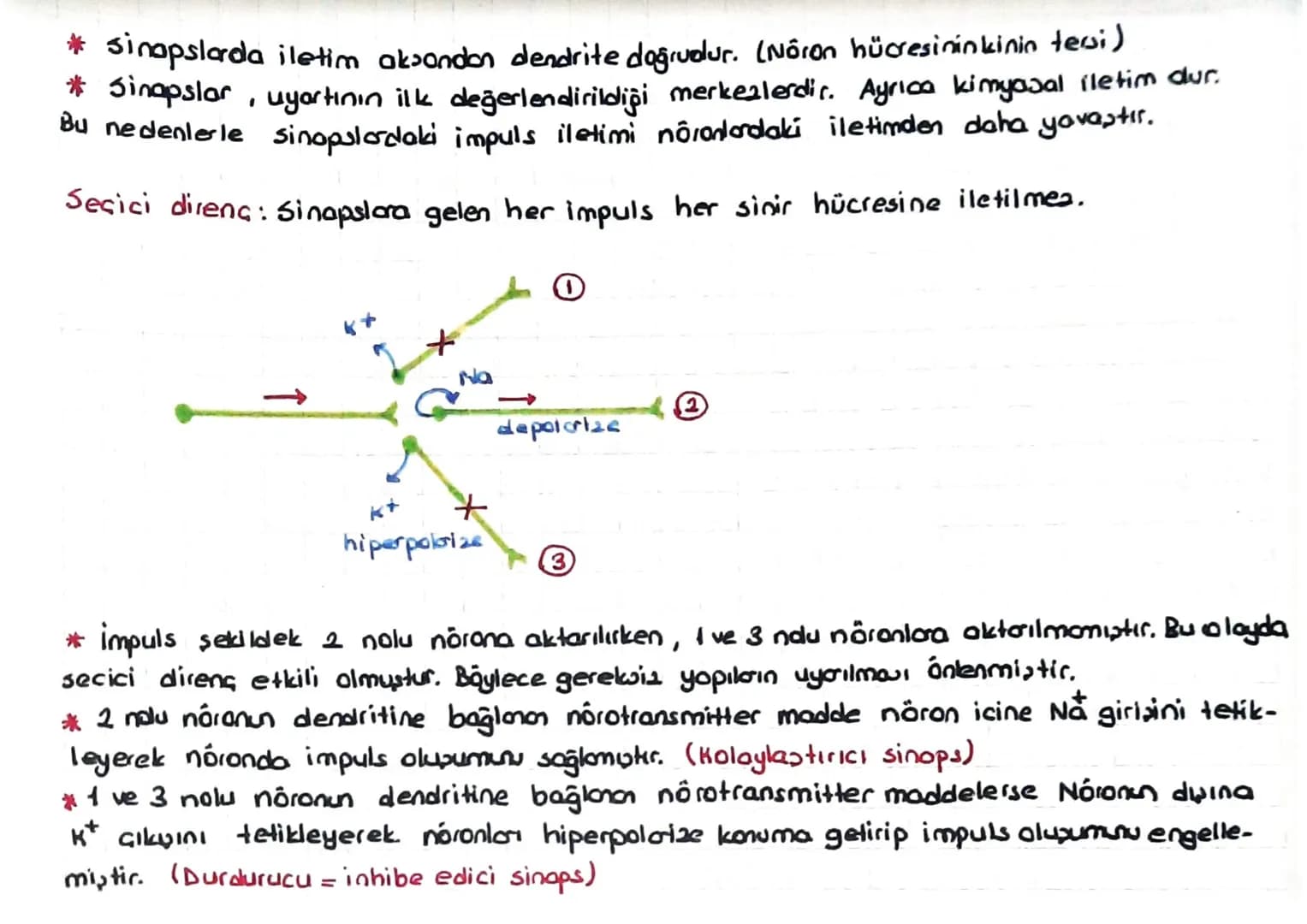 SINIR SISTEMI
Bk sinir hücresine noron denir.
Bir nöron 3 kuimdan oluşur.
L, NÓ O 2011
Nōrolemma
✓
↳ Noron sitoplazmasi = Nóroplazma
Dendrit