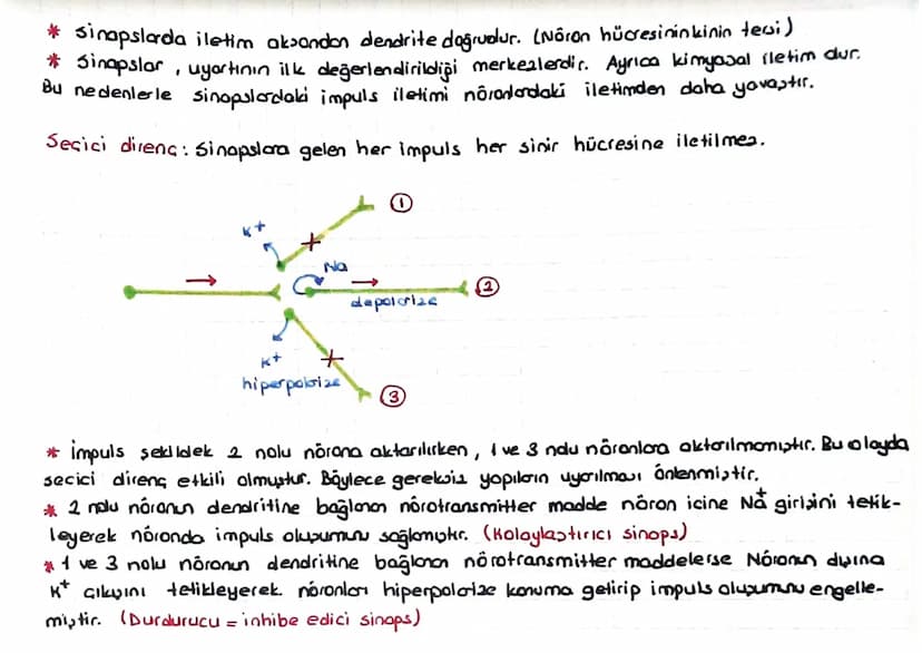 SINIR SISTEMI
Bk sinir hücresine noron denir.
Bir nöron 3 kuimdan oluşur.
L, NÓ O 2011
Nōrolemma
✓
↳ Noron sitoplazmasi = Nóroplazma
Dendrit