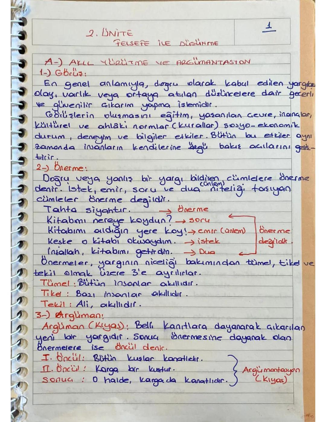 Felsefe İle Düşünme 