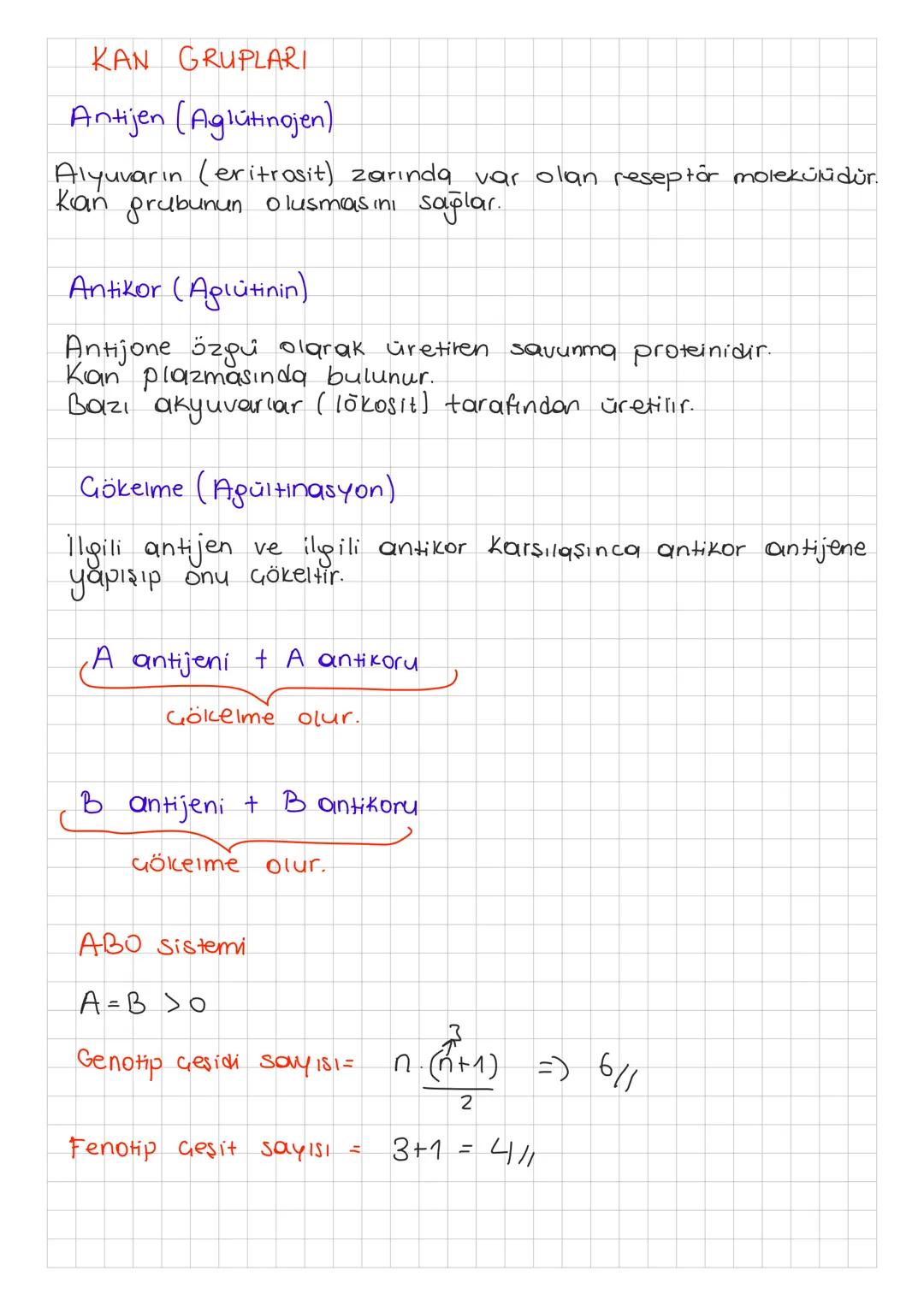 KAN GRUPLARI
Antijen (Aglutinojen).
Alyuvarın (eritrosit) zarında var olan reseptor molekülüdür.
Kan grubunun olusmasini
Antikor (Aglutinin)