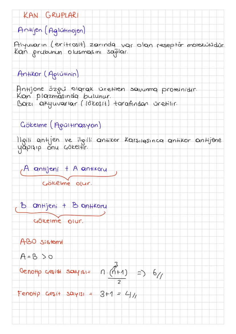 KAN GRUPLARI
Antijen (Aglutinojen).
Alyuvarın (eritrosit) zarında var olan reseptor molekülüdür.
Kan grubunun olusmasini
Antikor (Aglutinin)