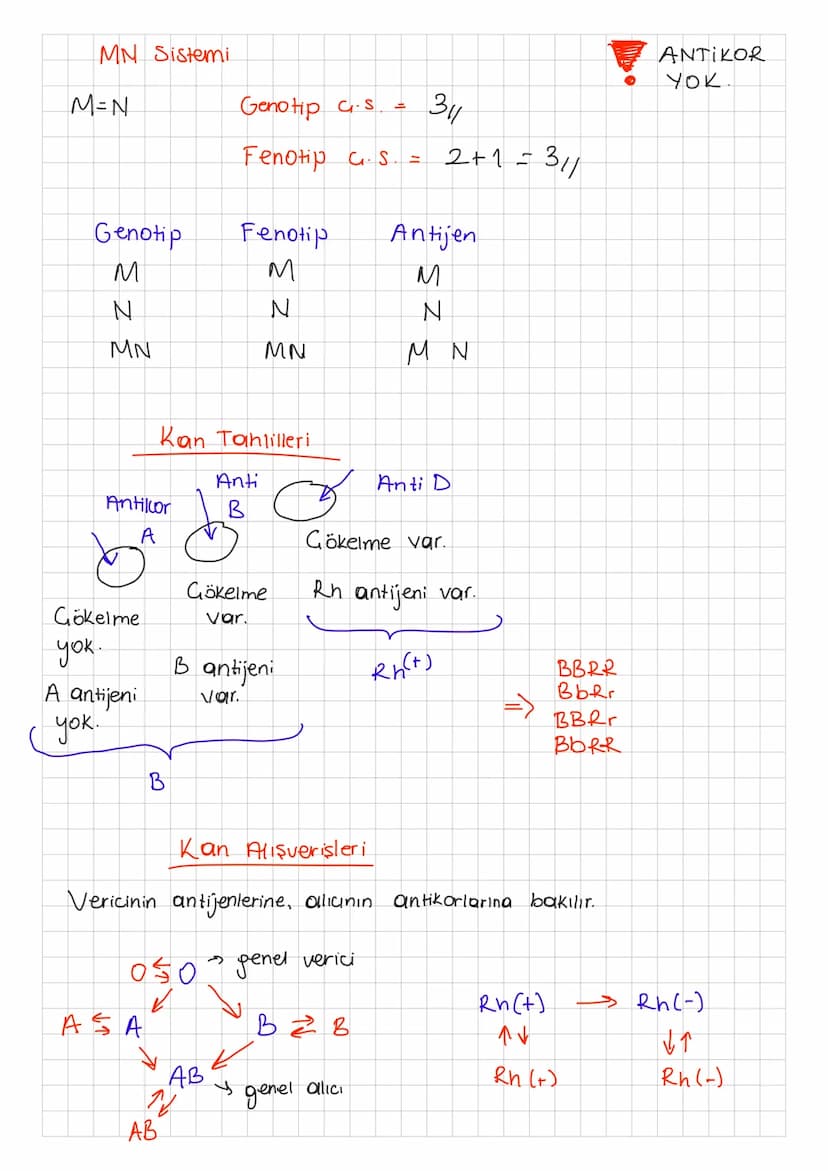 KAN GRUPLARI
Antijen (Aglutinojen).
Alyuvarın (eritrosit) zarında var olan reseptor molekülüdür.
Kan grubunun olusmasini
Antikor (Aglutinin)