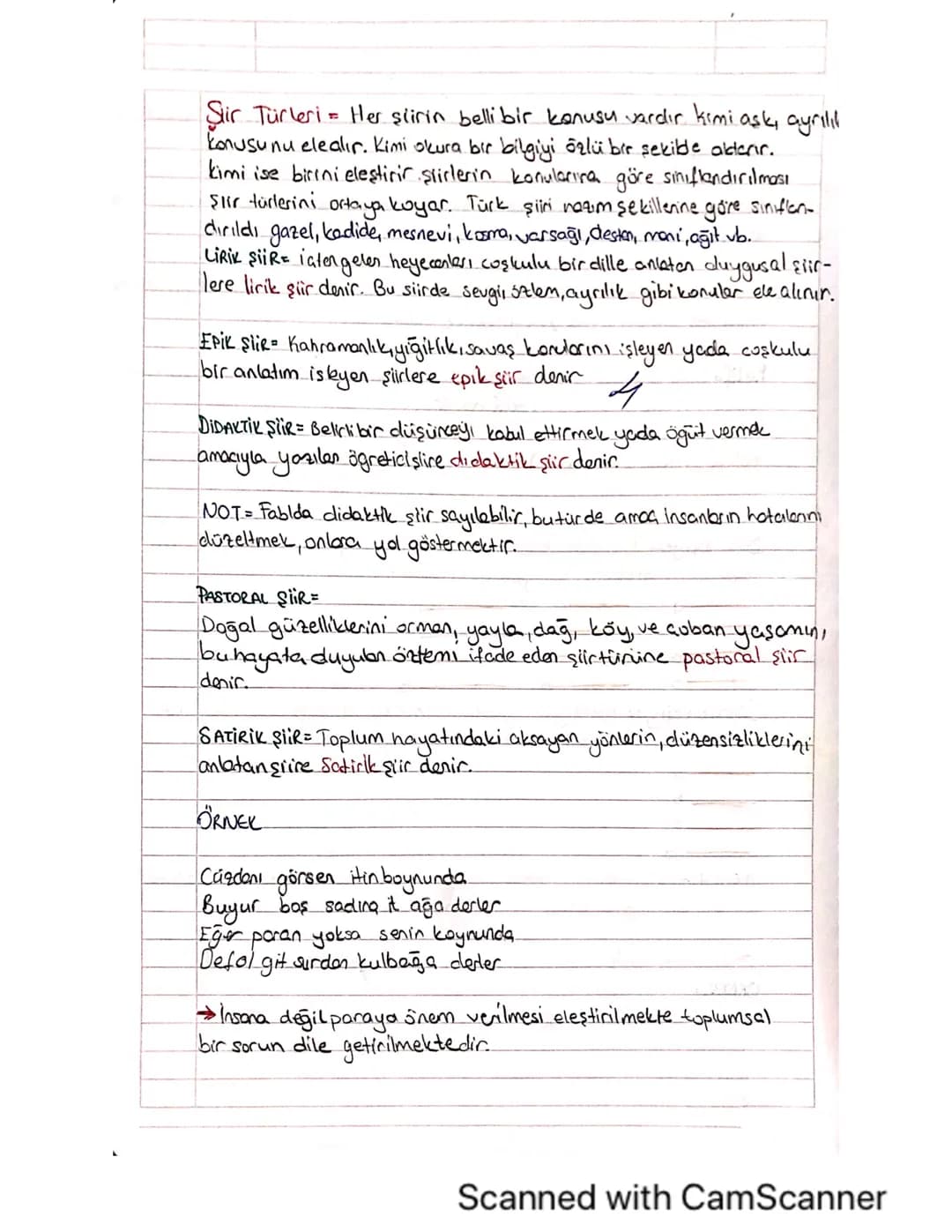 Şiir Türleri: Lirik, Epik, Satirik, Didaktik ve Pastoral Nedir?