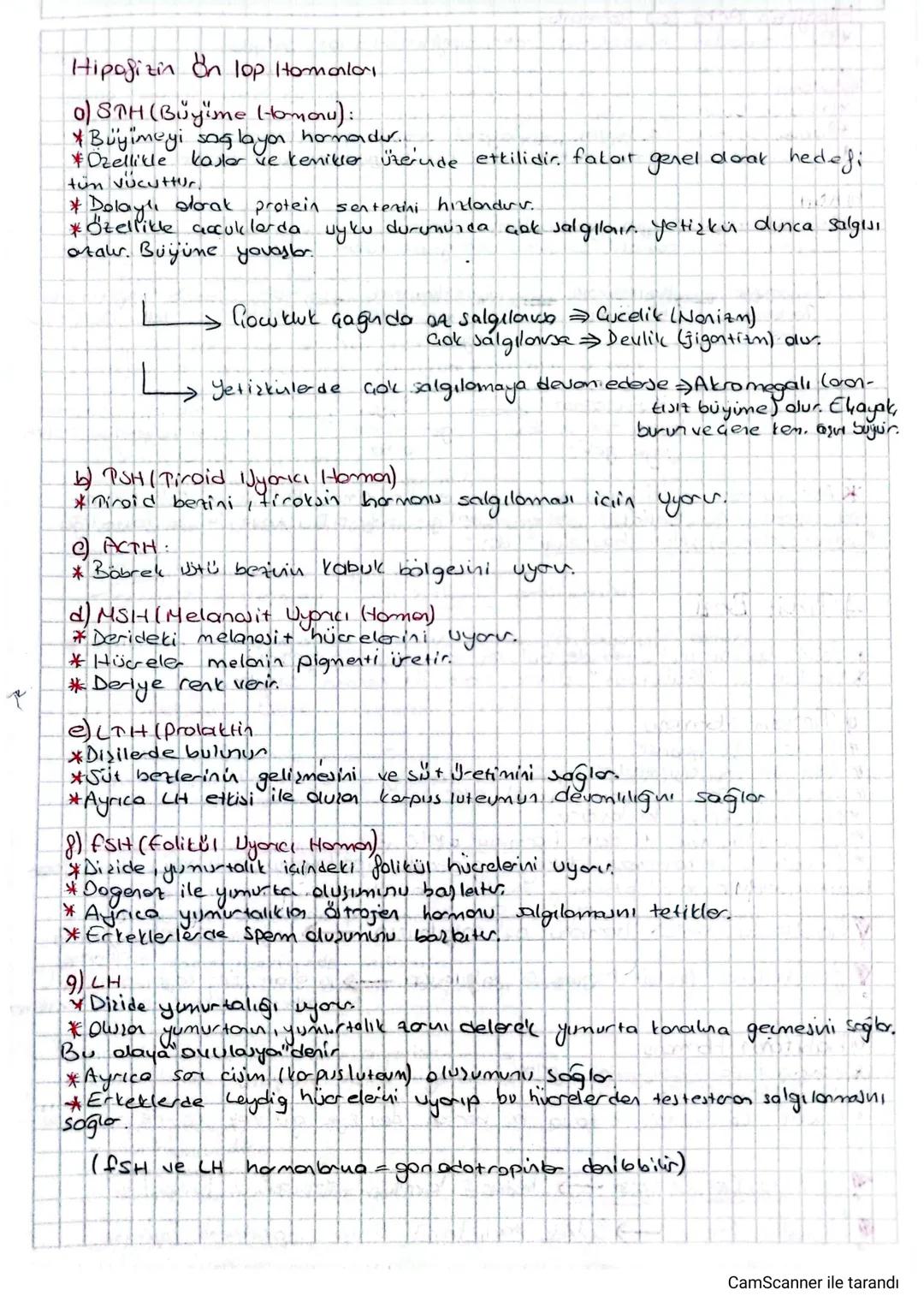 # Hipofizin ön lop Homalar

0) STH (Büyüme Homoau):
*Büyümeyi saglayon harmadu...
*Özellikle kastor ve kenikio üzernde ettilidir. falart gen