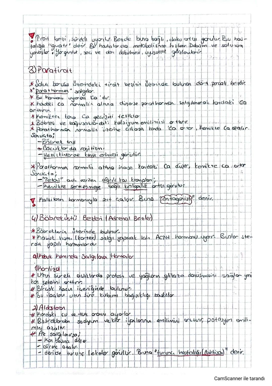 # Hipofizin ön lop Homalar

0) STH (Büyüme Homoau):
*Büyümeyi saglayon harmadu...
*Özellikle kastor ve kenikio üzernde ettilidir. falart gen