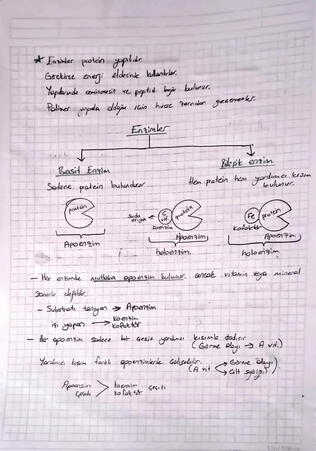 Suda
criyan vitaminler
Bvit: Eksik almırsa, Beriberi, Pellegra
Anemi
(smirsel bowk) (brise leke) (konsizlik
C : Fisk almırsa Storbut
Yağda e