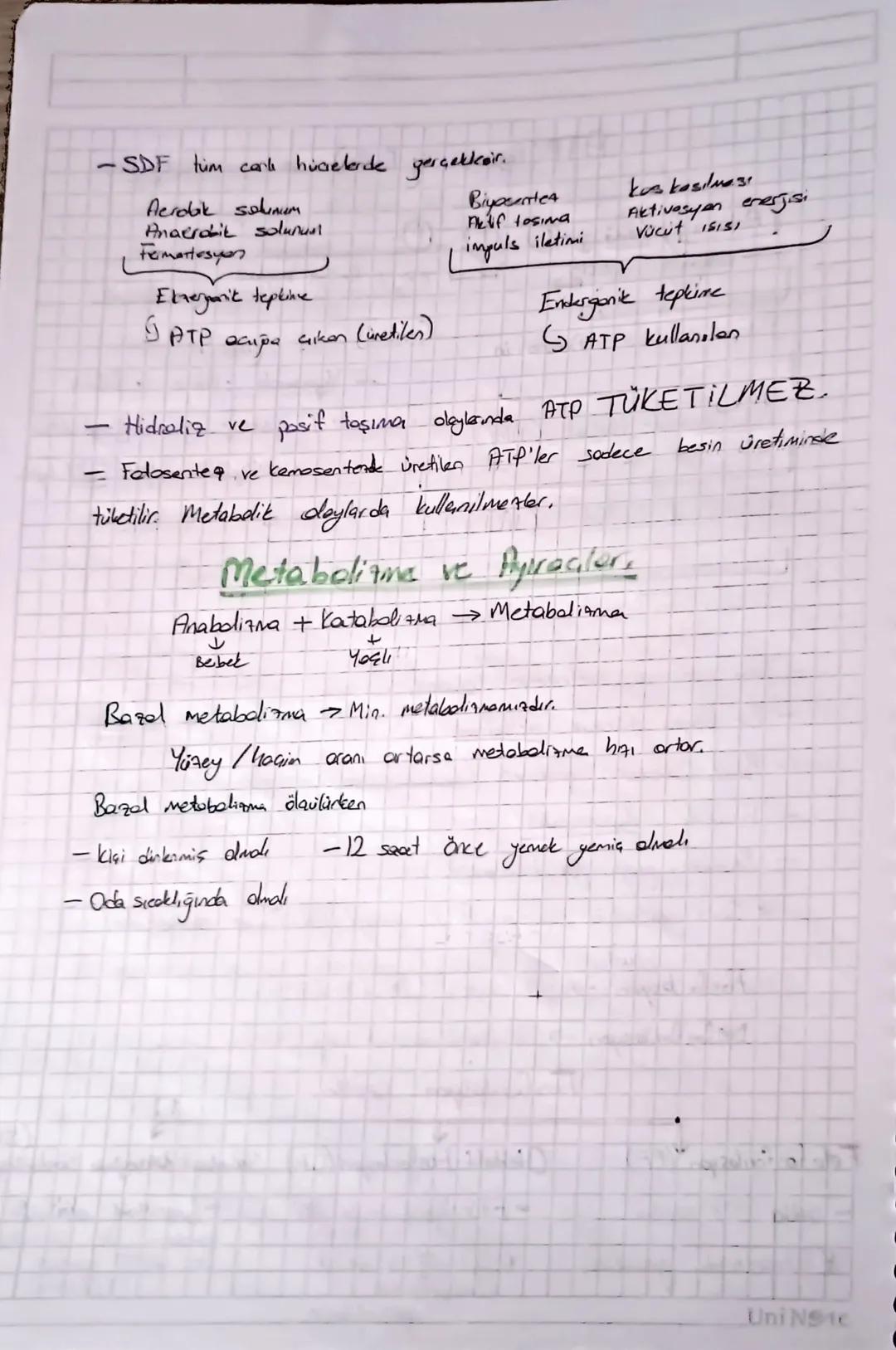 Suda
criyan vitaminler
Bvit: Eksik almırsa, Beriberi, Pellegra
Anemi
(smirsel bowk) (brise leke) (konsizlik
C : Fisk almırsa Storbut
Yağda e