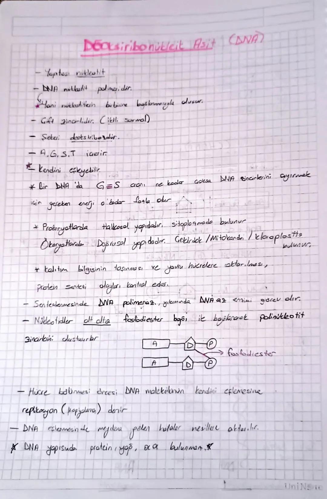 Suda
criyan vitaminler
Bvit: Eksik almırsa, Beriberi, Pellegra
Anemi
(smirsel bowk) (brise leke) (konsizlik
C : Fisk almırsa Storbut
Yağda e